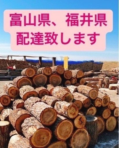 福井県　玉切り原木　予約