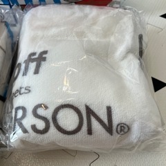 新品・未使用　LISA LARSON ブランケット2枚&2023カレンダーの画像