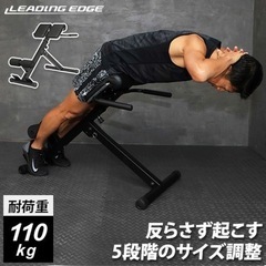 リーディングエッジ バックエクステンションベンチ