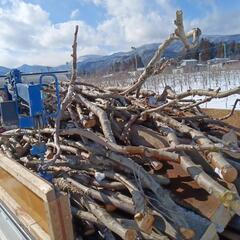 １月２８日１５時までにご連絡ください　解体原木＋リンゴ枝の画像