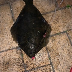 釣り友達・体験希望募集😊初めてさん歓迎です✨ - 友達