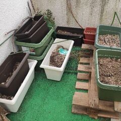 プランター鉢植え、支柱好きなものをどうぞ