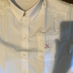 日大　日吉女子夏用シャツの画像