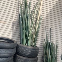 園芸支柱