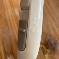 2021年生 目立つような汚れ傷はありません。の画像