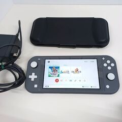 Nintendo Switch Lite/HDH-001/グレー