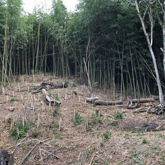 田んぼ・畑の草刈り代行します