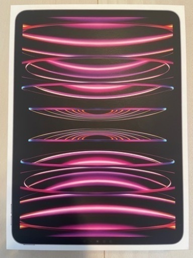 新品未開封iPad pro 11インチ第4世代 256GB スペースグレイ