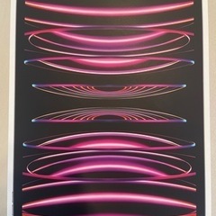 新品未開封iPad pro 11インチ第4世代 256GB スペースグレイ