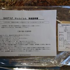 【愛品倶楽部柏店】豊橋木工　ロッコノレム　コンパクトロッキングチェア　2022年製の画像