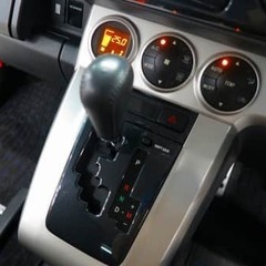 人気　急上昇です