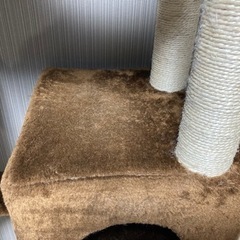 キャットタワーの画像