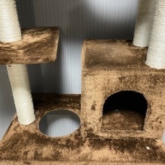 キャットタワーの画像