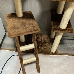キャットタワーの画像