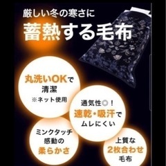 ❤️決定❤️🍀中古🍀モリリン 蓄熱効果抜群❗️吸水・速乾性のある 2枚合わせ毛布🍀の画像