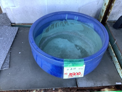水連鉢 睡蓮鉢 41cm 管7230128CK (ベストバイ 静岡県袋井市)