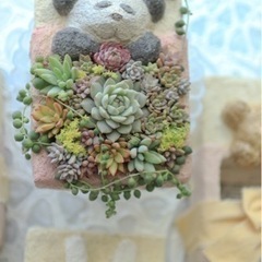 モルタルデコ&寄植え教室の画像