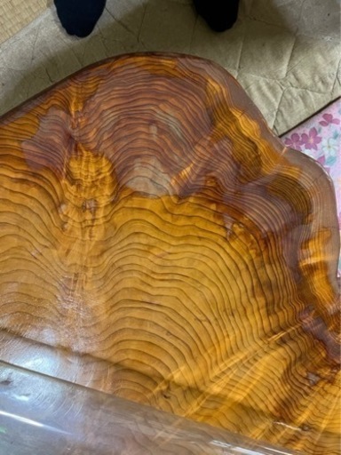 杉　円形　テーブル　座卓　希少