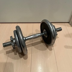 ダンベル10kg  宅トレ、筋トレ用
