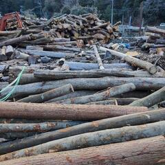 雑木 丸太 原木 量り売りの画像