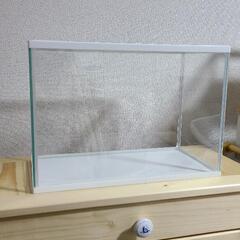 GEX  水槽　Lサイズ&ロカボーイS