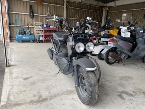ホンダ　ズーマー　50cc