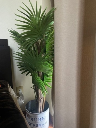観葉植物　光触媒　フェイクグリーン