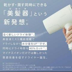 サロニア トリートメントミストドライヤー セラムセットの画像