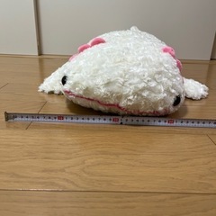 ウーパールーパー　ぬいぐるみの画像