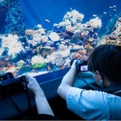 Photo Circle Lien【社会人カメラサークル】 - メンバー募集