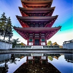 Photo Circle Lien【社会人カメラサークル】 − 東京都