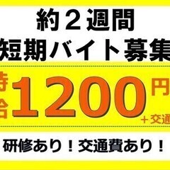 ド短期２週間!空いた時間に効率良く稼ぎたい方必見♪時給1300円...