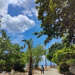 一人海外旅行、ダイビング好きな方