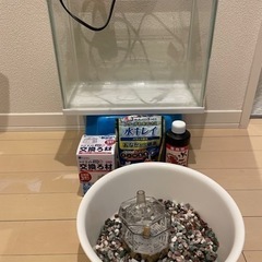 水槽　金魚の餌の画像