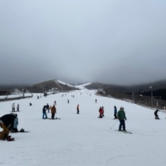 1/30,31,2/1一緒にスノボしませんか？