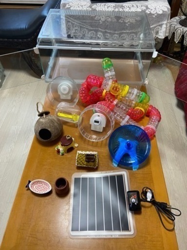 ハムスター 飼育セット グラスハーモニー600 【公式通販】