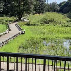 深大寺あたりをのんびりと♪