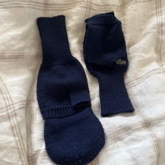 ラコステ手袋の画像