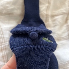 ラコステ手袋の画像