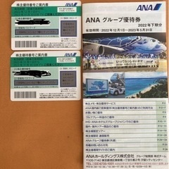 ANA 株主優待券2枚セットとANAグループ優待券