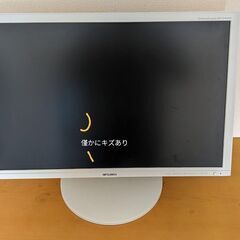 25.5型ディスプレイ　RDT261WHの画像