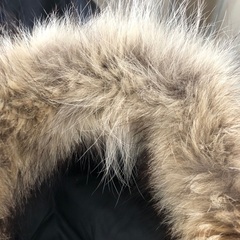 CANADA GOOSE