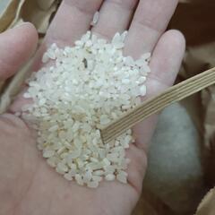 【決まりました】お米3kg ※訳あり