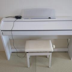 CASIO　PX750