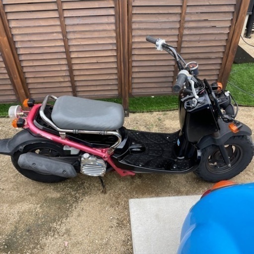 値下げしました‼️ホンダ ズーマー 鍵書類付き ベースにいかがでしょうか！