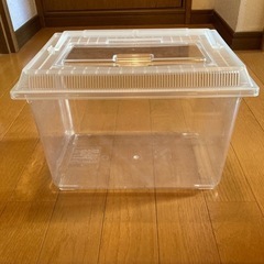 水槽　虫取りかご