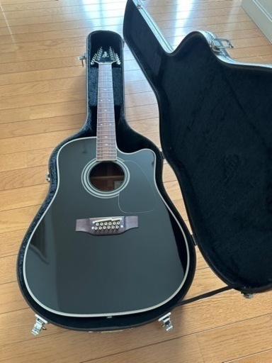 Takamine 12弦ギター 美品