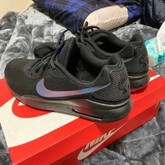 NIKE AQ2235-001 スニーカー 27cm黒の画像