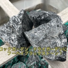 ロックガーデン！ドライガーデンに！フーベイブラックストーン