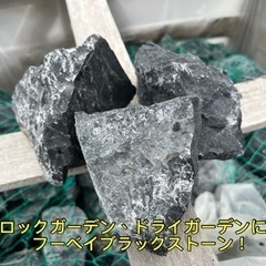 ロックガーデン！ドライガーデンに！フーベイブラックストーンの画像